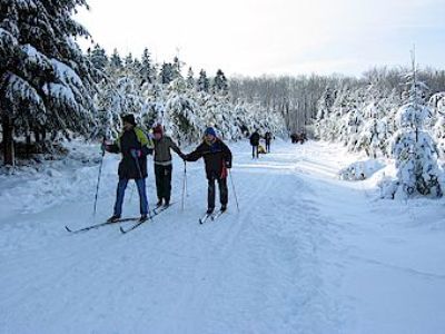 Dagtocht langlaufen in Winterberg of Altastenberg